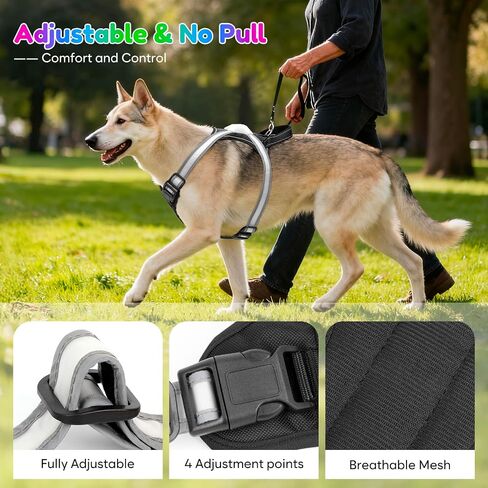 Light Up Dog Harness, Multicolor LED Reflective Vest, Glow in The Dark Safety Dog Harness, USB-C Rechargeable with Battery Indicator, Adjustable No-Pull Lighted Harness for Night Walking (Large) in Saudi Arabia