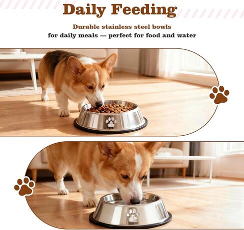 مجموعة لوازم الجراء للمبتدئين - مجموعة مستلزمات الجراء ومستلزمات الكلاب للكلاب الصغيرة، تتضمن أوعية وألعابًا وفرشاة أسنان وحقيبة مكافآت وأكثر من ذلك، هدايا ترحيب منزلية لجراءك الجدد - باللون الوردي in Kuwait