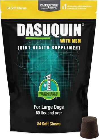 Nutramax Dasuquin MSM Joint Supplement for Large Dogs, Soft Chews, 150ct in Saudi Arabia