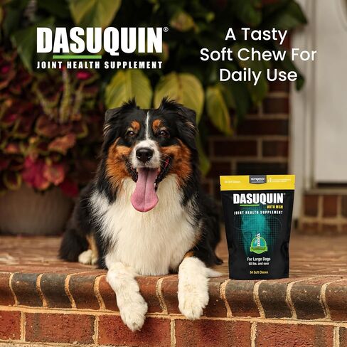 Nutramax Dasuquin MSM Joint Supplement for Large Dogs, Soft Chews, 150ct in Saudi Arabia