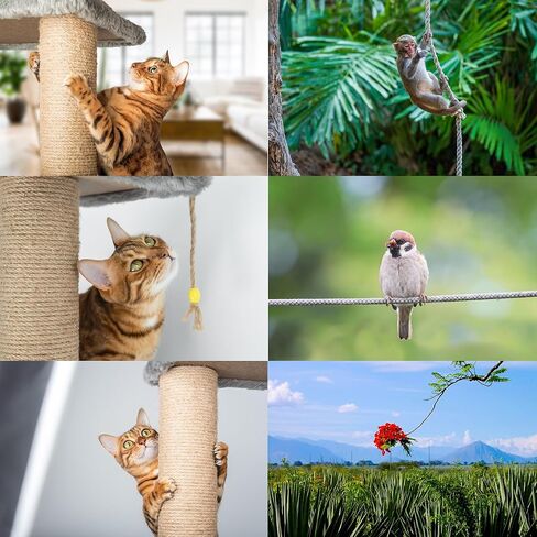 حبل السيزال البرازيلي الفاخر، ألياف طبيعية 100% سيزال، متين للغاية، خالي من المواد الكيميائية، مثالي للاستخدام المنزلي، القطط، استبدال عمود الخدش، ديكور المنزل، الحديقة، الصناعة اليدوية (1/4 بوصة 100 قدم / 6 مم 30 م) in Kuwait