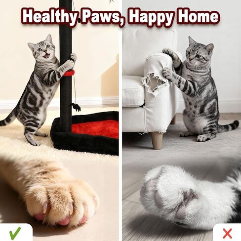 عمود خدش للقطط القوطية مع سرير، جهاز خدش للقطط بطول 86.36 سم للقطط الداخلية - عمود خدش حديث من السيزال مع ألعاب متدلية عنكبوتية للقطط الصغيرة والقطط البالغة in Kuwait