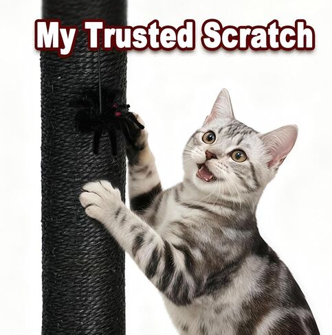 عمود خدش للقطط القوطية مع سرير، جهاز خدش للقطط بطول 86.36 سم للقطط الداخلية - عمود خدش حديث من السيزال مع ألعاب متدلية عنكبوتية للقطط الصغيرة والقطط البالغة in Kuwait