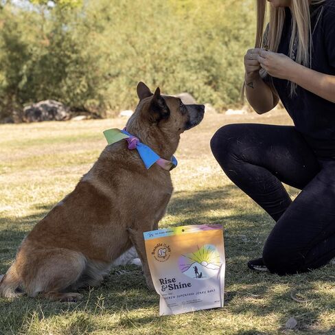 حزمة x Joy Ride & Vibe Salmon Jerky للكلاب - كيس 16 أونصة، أطعمة طبيعية فائقة الجودة - حلوى السلمون الخالية من الذرة والدواجن وفول الصويا والحبوب المصنوعة في الولايات المتحدة الأمريكية فقط in Kuwait
