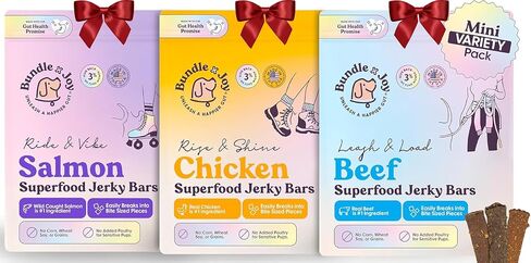 حزمة x Joy Ride & Vibe Salmon Jerky للكلاب - كيس 16 أونصة، أطعمة طبيعية فائقة الجودة - حلوى السلمون الخالية من الذرة والدواجن وفول الصويا والحبوب المصنوعة في الولايات المتحدة الأمريكية فقط in Kuwait