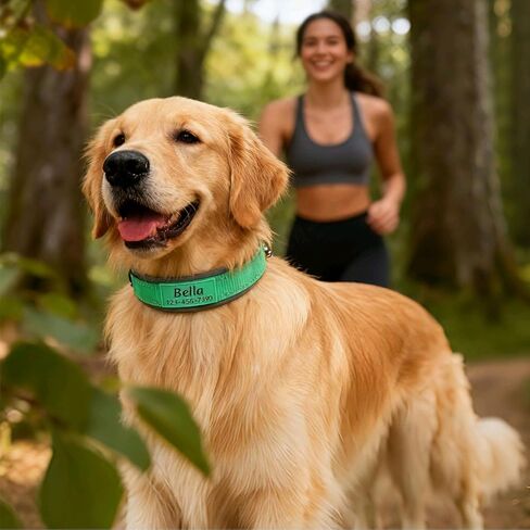 Personalized Dog Collar with Name and Phone Number | Durable Metal Buckle | Ultra Wide Soft Neoprene Padded | Reflective Dog Collar for Large Medium and Small Dogs in Saudi Arabia