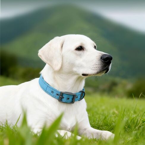 Personalized Dog Collar with Name and Phone Number | Durable Metal Buckle | Ultra Wide Soft Neoprene Padded | Reflective Dog Collar for Large Medium and Small Dogs in Saudi Arabia