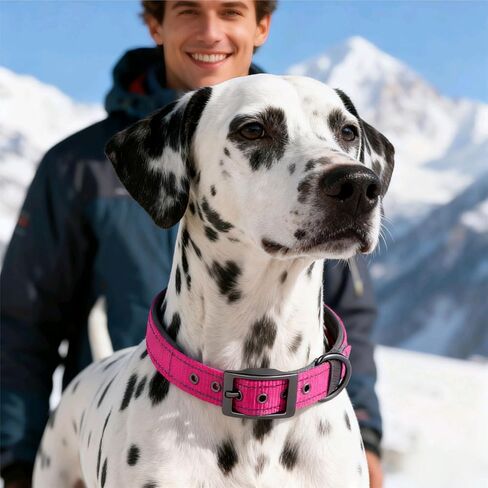 Personalized Dog Collar with Name and Phone Number | Durable Metal Buckle | Ultra Wide Soft Neoprene Padded | Reflective Dog Collar for Large Medium and Small Dogs in Saudi Arabia