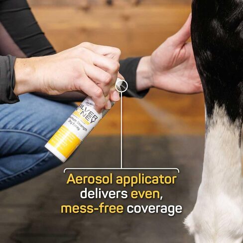 Silver Honey Rapid Wound Repair Maximum Strength Dry Spray 100 ml / 3.38 oz, Manuka Honey + MicroSilver BG, Equine First Aid & Wound Care in Kuwait