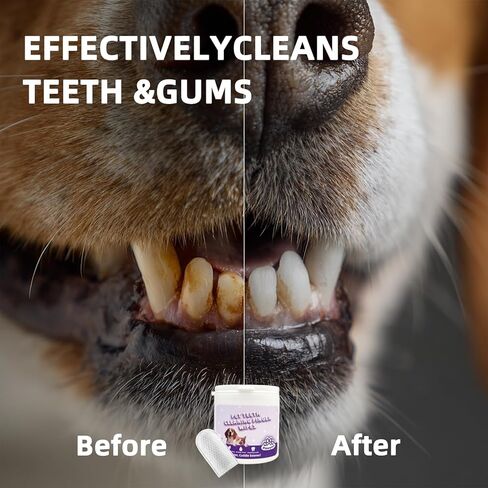Cats Dogs Dental Care Finger Wipes - 50 PCS Tooth Brushing Kit Dental Wipes for Cats - Teeth Cleaning Finger Wipes for Dog & Cats - Reduces Plaque & Freshens Breath (CY_TeethWipes) in Saudi Arabia