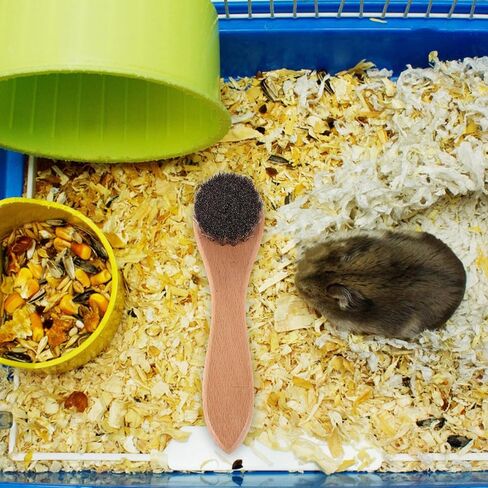 2PCS Soft Bristle Pet Grooming Brushes with Ergonomic Wood Handles for Small Animals Gentle Bathing Comb for Hamsters Rabbits Guinea Pigs and Ferrets Dirt Removal and Comfortable in Saudi Arabia