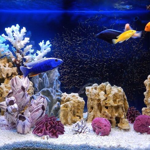 زخارف مرجانية صناعية أرجوانية ساحلية لحوض السمك ديكور واقعي لحوض الأسماك ونباتات بحرية تحت عنوان هدايا لغرفة المعيشة والحمام والشاطئ الساحلي in Kuwait