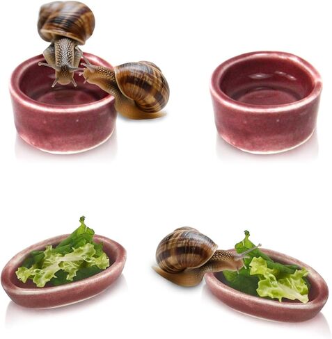 4 Pack Snails Feeding Dish Set for Land Snails, Snail Food and Water Bowl - Calcium Food Bowl & Water Tray, Mini Pet Supplies, Durable Snail Tiny Pet Dishes in Saudi Arabia