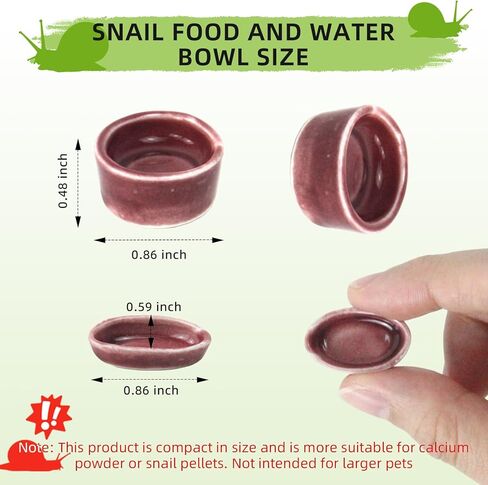 4 Pack Snails Feeding Dish Set for Land Snails, Snail Food and Water Bowl - Calcium Food Bowl & Water Tray, Mini Pet Supplies, Durable Snail Tiny Pet Dishes in Saudi Arabia