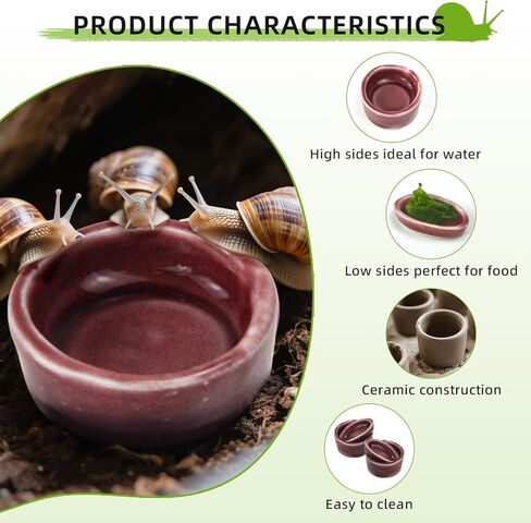 4 Pack Snails Feeding Dish Set for Land Snails, Snail Food and Water Bowl - Calcium Food Bowl & Water Tray, Mini Pet Supplies, Durable Snail Tiny Pet Dishes in Saudi Arabia