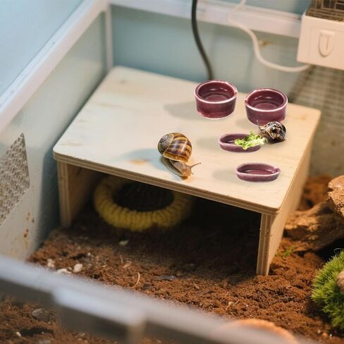 4 Pack Snails Feeding Dish Set for Land Snails, Snail Food and Water Bowl - Calcium Food Bowl & Water Tray, Mini Pet Supplies, Durable Snail Tiny Pet Dishes in Saudi Arabia