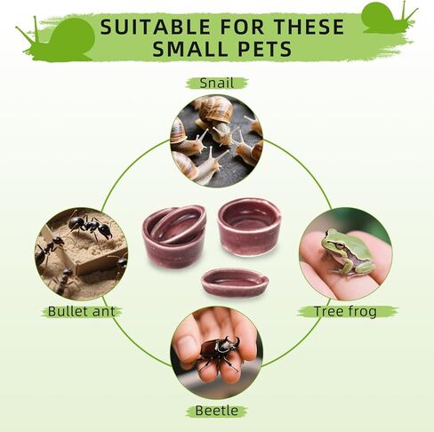 4 Pack Snails Feeding Dish Set for Land Snails, Snail Food and Water Bowl - Calcium Food Bowl & Water Tray, Mini Pet Supplies, Durable Snail Tiny Pet Dishes in Saudi Arabia