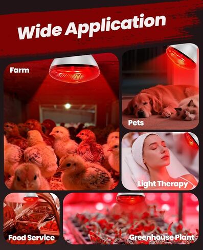 مصباح الحرارة بالأشعة تحت الحمراء للدجاج: لمبة المصباح الحراري الأحمر بقدرة 250 وات - مصابيح الإضاءة الحرارية لدجاج الحضانة والحيوانات الأليفة وخدمة طعام الزواحف والعلاج بالضوء في الحمام - مصابيح الإضاءة المتوهجة بالأشعة تحت الحمراء للدجاج - عبوة واحدة in Kuwait