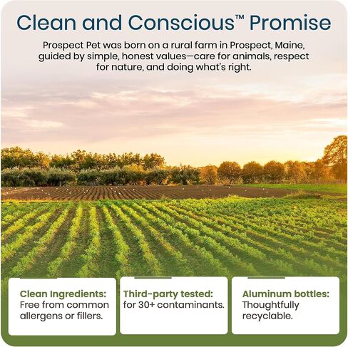 معزز صحة الجلد والمعطف - زيت سلمون ألاسكا البري للكلاب، مكمل زيت السمك أوميجا 3 السائل مع الأحماض الدهنية EPA وDHA للمعطف، وتخفيف حكة الجلد الجاف، والتساقط، والمفاصل، 8 أونصة in Kuwait