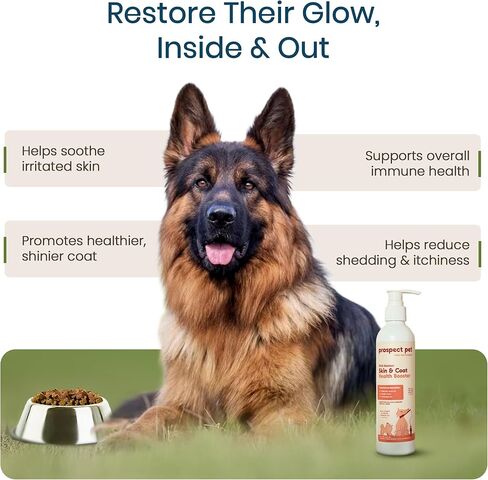 معزز صحة الجلد والمعطف - زيت سلمون ألاسكا البري للكلاب، مكمل زيت السمك أوميجا 3 السائل مع الأحماض الدهنية EPA وDHA للمعطف، وتخفيف حكة الجلد الجاف، والتساقط، والمفاصل، 8 أونصة in Kuwait