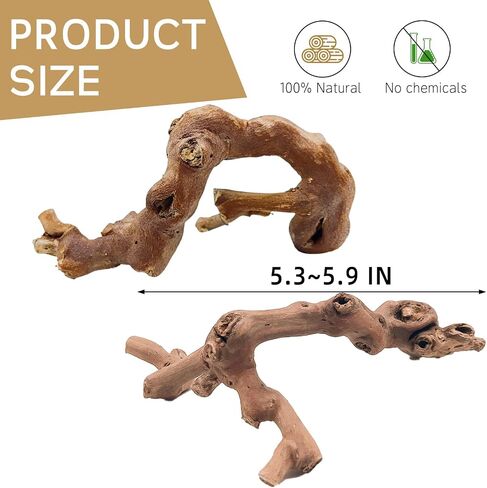 kathson 2PCS الخشب الهامستر تسلق فروع الديكور، الخشب الطبيعي الهامستر السوري تسلق ألعاب المضغ، ألعاب تمرين الفئران، ملحقات ديكور موائل الحيوانات الصغيرة للحيوانات الأليفة القزمة، الجربوع، الفئران (7.8IN) in Saudi Arabia