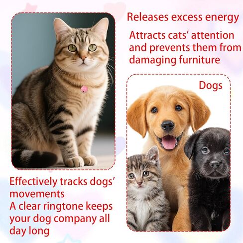 18 قطعة من أجراس الحيوانات الأليفة للقطط وطوق الكلاب، أجراس جلجل صغيرة للجرو والقطط مع قطعتين من سلاسل المفاتيح للحيوانات الأليفة وإكسسوارات تتبع السلامة in Kuwait
