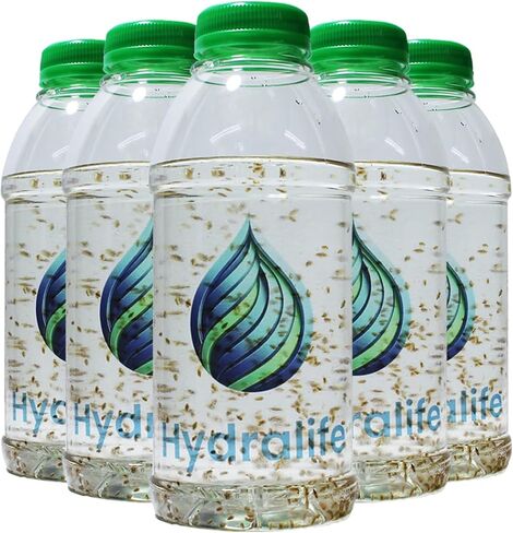 Hydralife Live Daphnia Fish Feed - High-Protein Food for Fish, Betta, Goldfish, and Aquatic Pets - Nutrient-Rich Feed for Aquariums, Ponds, and Lakes - 5 Count in Saudi Arabia