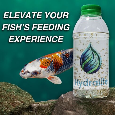 Hydralife Live Daphnia Fish Feed - High-Protein Food for Fish, Betta, Goldfish, and Aquatic Pets - Nutrient-Rich Feed for Aquariums, Ponds, and Lakes - 5 Count in Saudi Arabia
