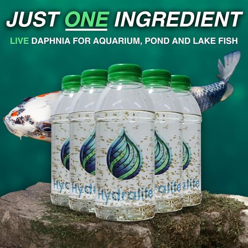 Hydralife Live Daphnia Fish Feed - High-Protein Food for Fish, Betta, Goldfish, and Aquatic Pets - Nutrient-Rich Feed for Aquariums, Ponds, and Lakes - 5 Count in Saudi Arabia