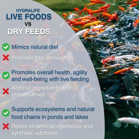 Hydralife Live Daphnia Fish Feed - High-Protein Food for Fish, Betta, Goldfish, and Aquatic Pets - Nutrient-Rich Feed for Aquariums, Ponds, and Lakes - 5 Count in Saudi Arabia