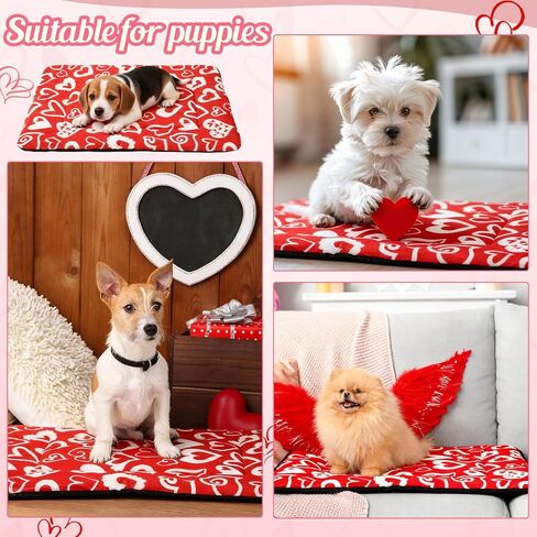 2 Pack Halloween Self Warming Cat Bed Self Heating Cozy Bat Cat Pad with Non Slip Bottom 20 x 30 Inch Goth Pet Mat for Small Dogs Spooky Fall Halloween Decor in Saudi Arabia