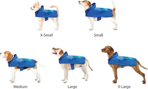 Graphic Raincoat for Dogs, Blue Ombre, Large in Kuwait