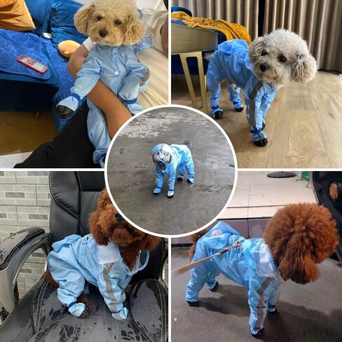 Full Coverage Small Dog Raincoat, Waterproof with Four-Leg Protection, Ideal for Teddy Bears, Includes Waterproof Mini Backpack (Yellow, XX-Large(Suggest Weight 16.6-22lb)) in Saudi Arabia