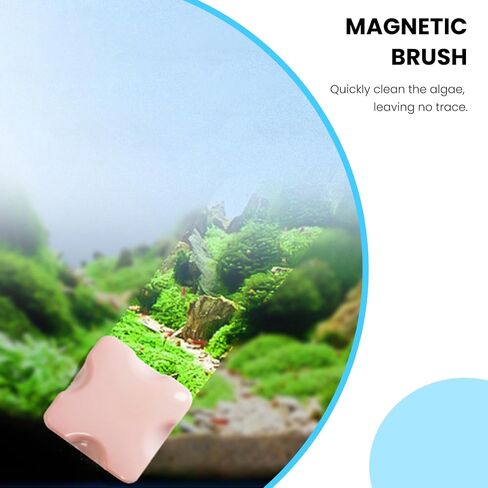 Mini Magnetic Algae Scraper for Fish Tank - 1.18" Dual-Sided Cleaner in White - Used for Glass Aquariums in Saudi Arabia