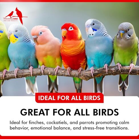 Morning Bird Mood Food 2 oz – Natural Calming Supplement for Birds – Non-Sedating, Unwanted Behavior, Feather Plucking & Aggression – Gentle Stress Relief Achieved with Amino Acids and B-Vitamins in Kuwait