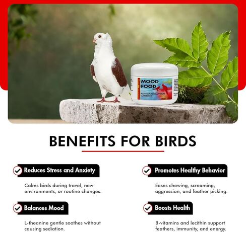 Morning Bird Mood Food 2 oz – Natural Calming Supplement for Birds – Non-Sedating, Unwanted Behavior, Feather Plucking & Aggression – Gentle Stress Relief Achieved with Amino Acids and B-Vitamins in Kuwait