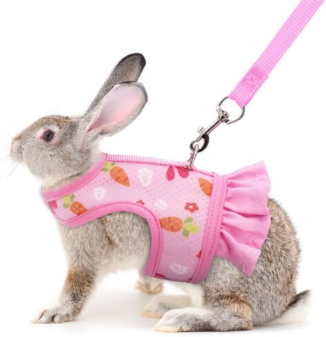 Pink Bunny Harness and Leash, Escape Proof Rabbit Harness and Leash Set, Cute Bunnies Vest Clothes Stuff Accessories - Also Suit for Ferret Kitten Puppy Small Animals, S(Young Rabbit) in Saudi Arabia