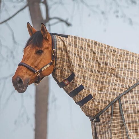 Neck Cover 200 Gram for Turnout Blanket Large 76-80" in Saudi Arabia