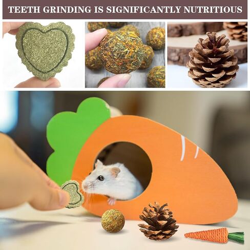 Natural Wooden Hamster Tunnels & Hideouts – Chew-Safe Birch Trunk Tubes for Dwarf Hamsters, Gerbils, Mice – Cage Accessories, Exercise Toy, Forest-Themed Small Pet Habitat in Saudi Arabia