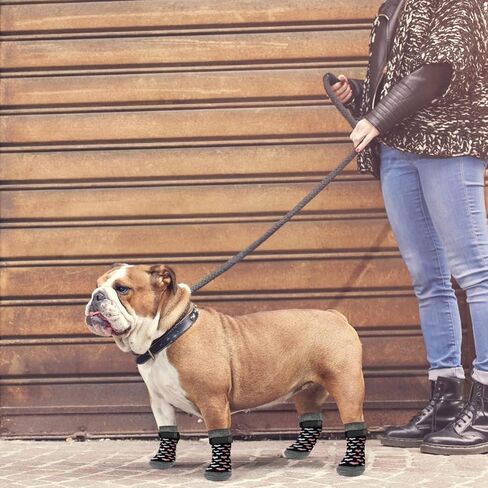 Rypet Anti Slip Dog Socks 2 Pairs - Dog Grip Socks with Straps Traction Control for Indoor on Hardwood Floor Wear, Pet Paw Protector for Small Medium Large Dogs Small in Saudi Arabia