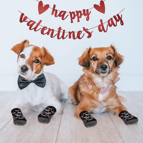 Rypet Anti Slip Dog Socks 2 Pairs - Dog Grip Socks with Straps Traction Control for Indoor on Hardwood Floor Wear, Pet Paw Protector for Small Medium Large Dogs Small in Saudi Arabia