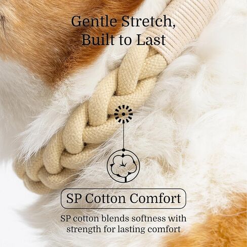 2025 New Edition, Fei & Eve Hand-Braided SP Cotton Collar | No-Pull Martingale Design | Gentle on Neck | Heavy-Duty Training No Buckle | Small (Champagne) in Saudi Arabia
