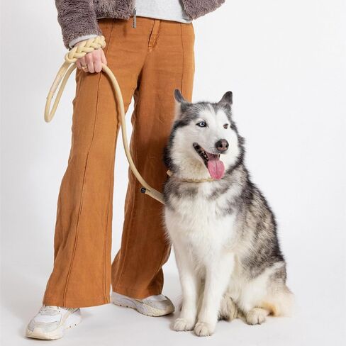 2025 New Edition, Fei & Eve Hand-Braided SP Cotton Collar | No-Pull Martingale Design | Gentle on Neck | Heavy-Duty Training No Buckle | Small (Champagne) in Saudi Arabia