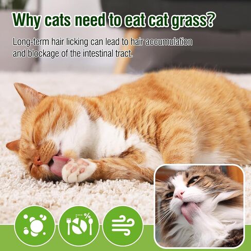 Cat Grass Teething Sticks, 100g/3.52oz Edible Freezed Drying Cat Grass Treats, Cats Snacks for Hairball Removal and Dental Care in Saudi Arabia