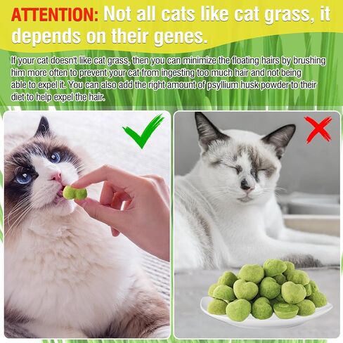 Cat Grass Teething Sticks, 100g/3.52oz Edible Freezed Drying Cat Grass Treats, Cats Snacks for Hairball Removal and Dental Care in Saudi Arabia