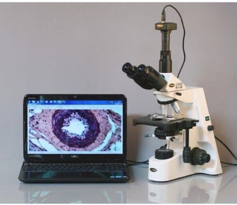 AmScope T690C-8M Digital Trinocular Compound Microscope, 40X-2500X Magnification, WH10x and WH25x Super-Widefield Eyepieces, Infinity Objectives, Brightfield, Kohler Condenser, Double-Layer Mechanical Stage, Includes 8MP Camera with Reduction Lens and Sof in Saudi Arabia