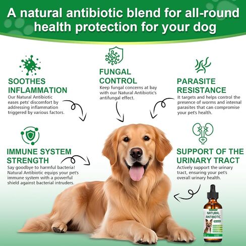 Antibiotics for Dogs,Natural Antibiotics for Dogs,Pet Antibiotic, Dog Multivitamin, Supports Dog Allergy and Itch Relief,Dietary Supplement,Natural Herbal Supplement in Kuwait