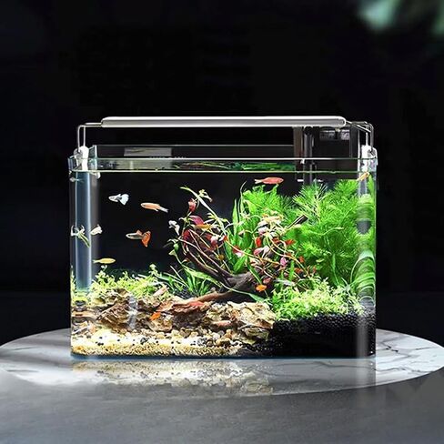 0.9 Gallon Aquarium Fish Tank，Rimless Aquarium Tank，7.1" L × 5.1" W × 5.9" H in Saudi Arabia
