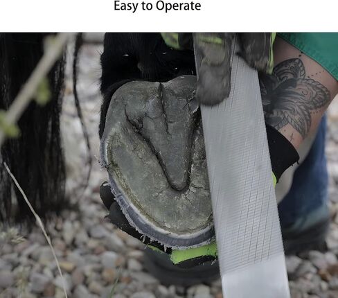 8-Inch Hoof Rasp Set (4 Pack) – Portable Precision Files for Hoof Detailing in Saudi Arabia