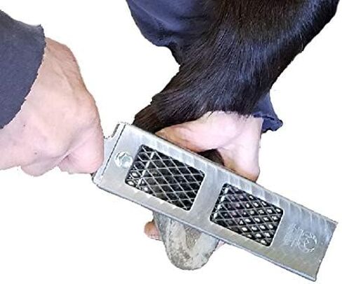 Cody James Littlefoot Hoof Rasp - أفضل مبرد صغير لتقليم الحوافر الصغيرة - اختر رفيعًا أو متوسطًا أو عدوانيًا (FINE) in Kuwait